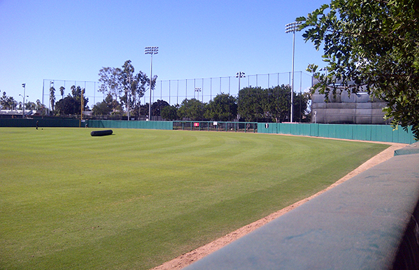 Judge Netting Barrier Specialists: USC Dedeaux Field field with complex with sports field netting barriers.