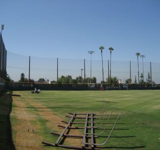 Empty baseball field with overgrown grass, show cages near the left, and tall palm trees under a clear blue sky.