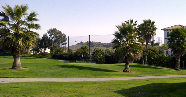 Judge Netting Barrier Specialists: A grassy golf course with palm trees, enclosed by sports field netting barriers.