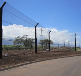 Tall security fences with sports netting along a roadside near agricultural fields under a clear blue sky.