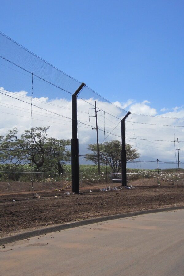 Tall security fences with sports netting along a roadside near agricultural fields under a clear blue sky.