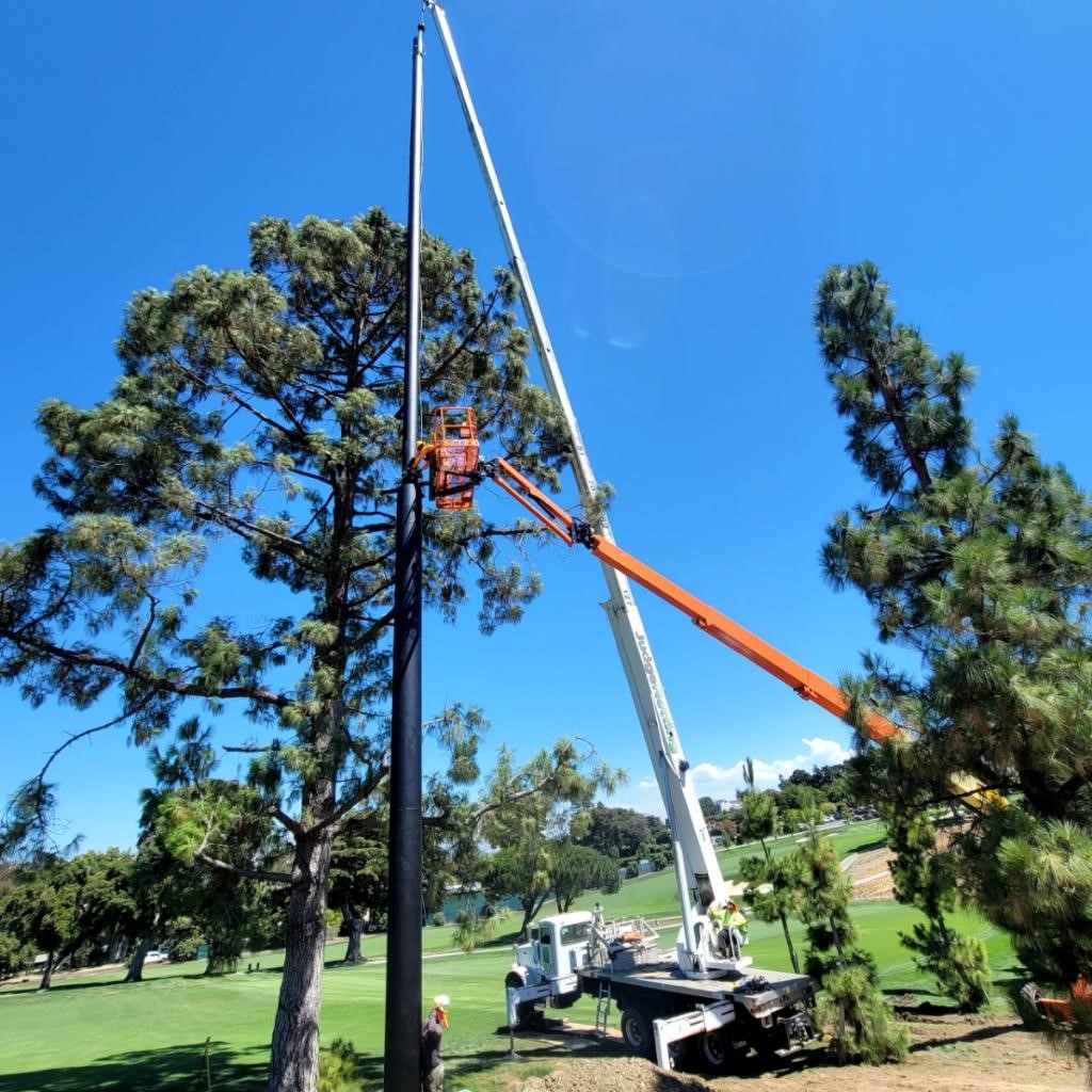 A crane truck with an extended boom is lifting workers in an orange basket to the top of a tall tree set against a clear blue sky in a grassy park area near Peninsula Golf  Country Club