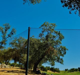 Judge Netting - YMCA Mission Viejo - Sports Netting & Barriers