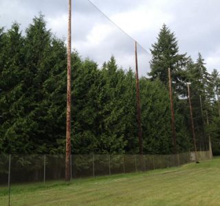 Tall, narrow trees shield a clear grassy area beyond a sports netting fence under a cloudy sky.
