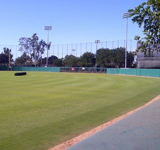 Empty baseball field with lush green grass, surrounded by a tall Judge Netting and trees under a clear blue sky.
