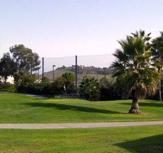Palm trees and a grassy area in a park with a hill in the distance and buildings on the right under a clear sky with sports netting visible on one side.