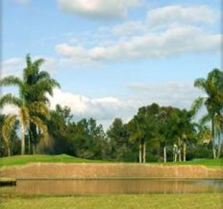 A serene golf course with a water hazard, surrounded by lush green grass and tall palm trees under a partly cloudy sky, equipped with golf netting.